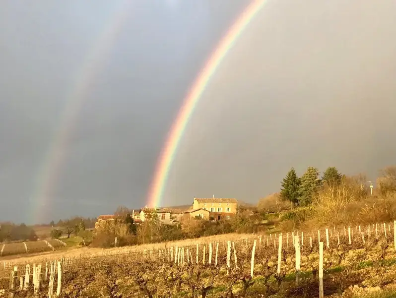beaujolais-5