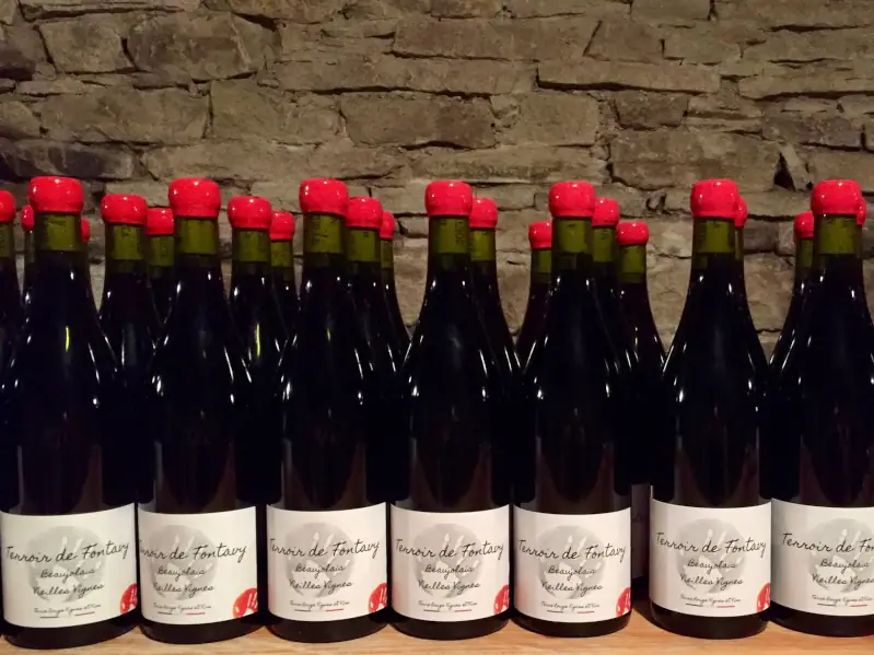 beaujolais-6