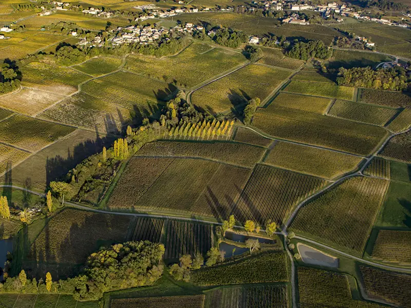 bordeaux-1